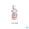 RG EAU PARFUM GIMGEMBRE RGE 100ML