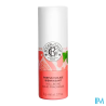 RG PARF SOLID FL FIGUIER STICK 5G