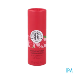 RG BAUME LEVRE SUBLIM GING RGE