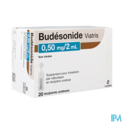 Budesonide 0 5mg 2ml viatris inh20 - La Grande Pharmacie