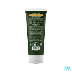 LUXEOL SHAMP A/CHUTE PROGRESS200ML