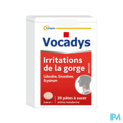 VOCADYS PATE 30