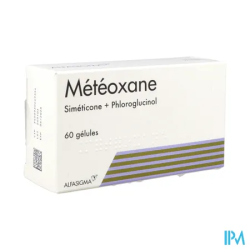 METEOXANE GELULE 60