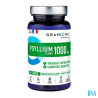 GRANIONS PSYLLIUM GELUL 60