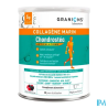 CHONDROSTEO COLLAGENE MAR PDR 280G