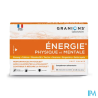 GRANIONS ENERGIE+ PHYS MENT AMP30