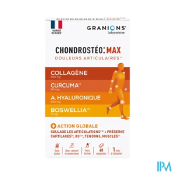 CHONDROSTEO MAX TRIP ACTION CPR 60