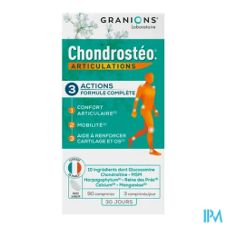 CHONDROSTEO MAX TRIP ACTION CPR 60