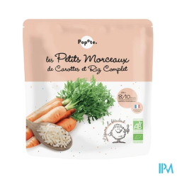 POPOTE MORCEAUX CAROTTE/RIZ 190G