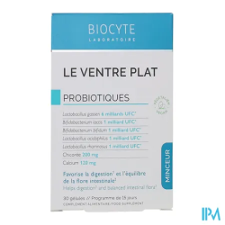 BIOCYTE LE VENTRE PLAT GELUL 30