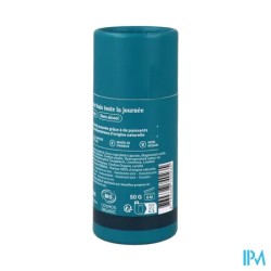 RESPIRE DEO STICK CARTON MENT/EUCA