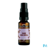 BIOFLORAL FAIRE SON DEUIL SPR20ML
