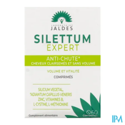 SILETTUM EXPERT A/CHUTE CPR 60