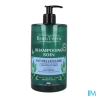 BEAUTERRA SH A/PELLICULLAIRE 750ML