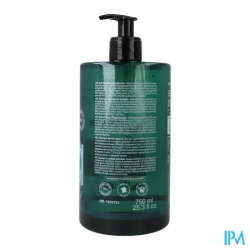 BEAUTERRA SH A/PELLICULLAIRE 750ML