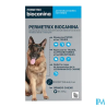 PERMETRIX GRD/CHIEN PIPETTE 3