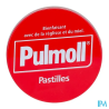 PULMOLL PAST CLASSIC 20G