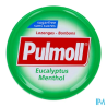 PULMOLL PAST EUCALYP/MENTH BT 45G