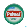 PULMOLL PAST EUCALYP/MENTH BT 45G