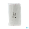 ELASTOPLAST BDE ELAST ADH 10CM