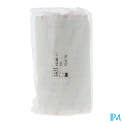 ELASTOPLAST BDE ELAST ADH 10CM