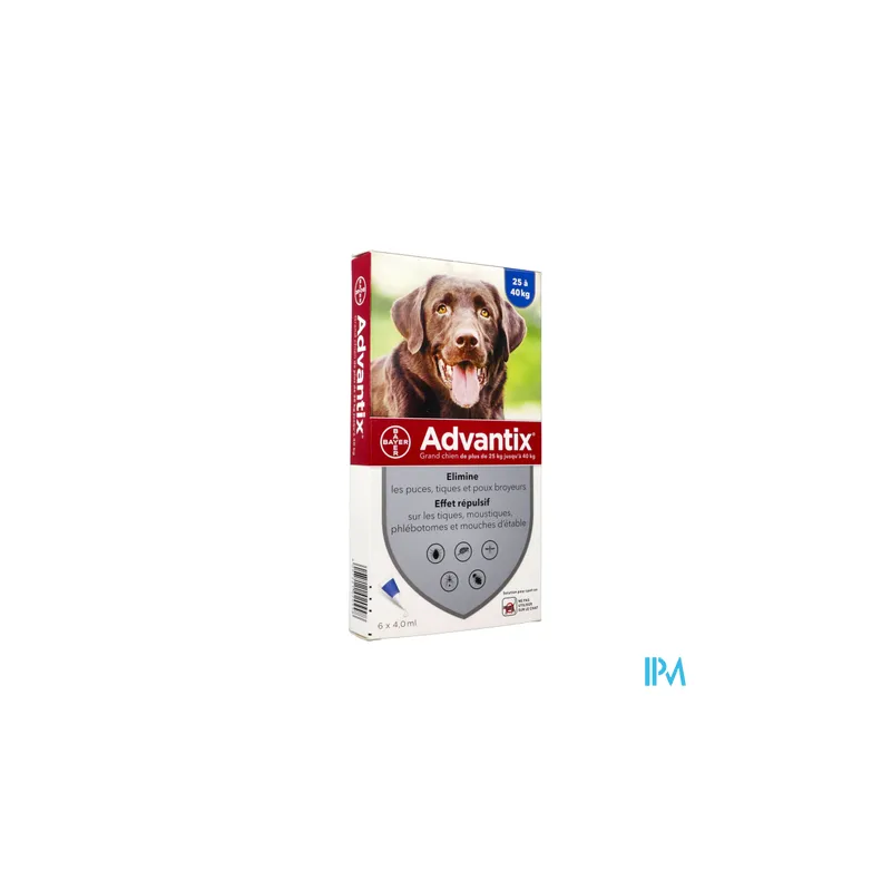 ADVANTIX GR/CHIEN PIPET 4ML 6
