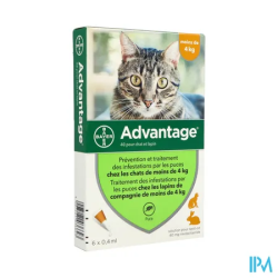ADVANTAGE-40 CHAT/LAPIN PIPET 6