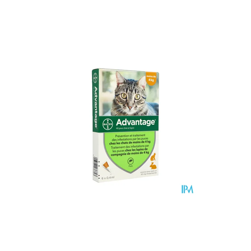 ADVANTAGE-40 CHAT/LAPIN PIPET 6