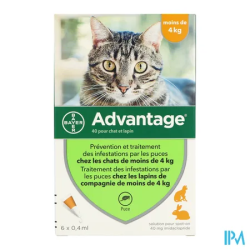 ADVANTAGE-40 CHAT/LAPIN PIPET 6