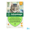 ADVANTAGE-40 CHAT/LAPIN PIPET 6
