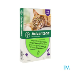 ADVANTAGE-80 CHAT/LAPIN PIPET 6