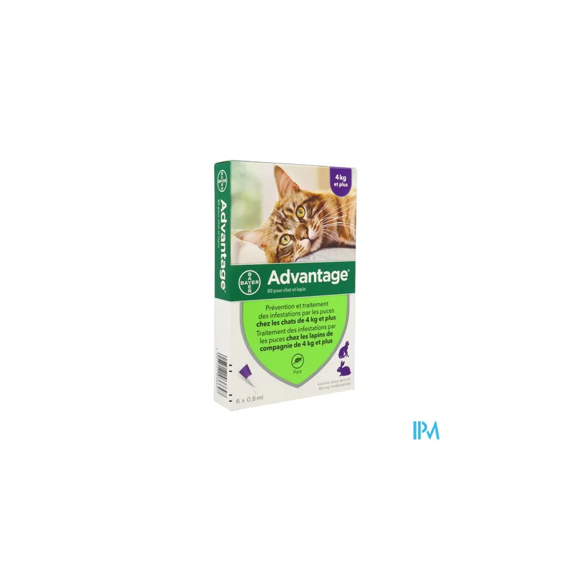 ADVANTAGE-80 CHAT/LAPIN PIPET 6