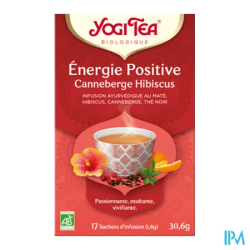 YOGI TEA ENERG POSITIV BIO SACH 17