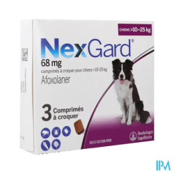 NEXGARD CHIEN L 10-25KG CP 3