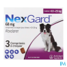 NEXGARD CHIEN L 10-25KG CP 3