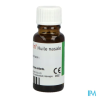 GELOSITIN SOIN NASAL15ML