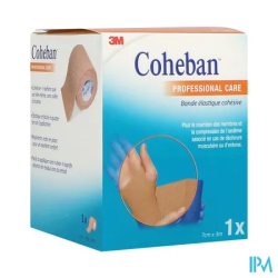 COHEBAN BDE 7CMX3M CHAIR 1583