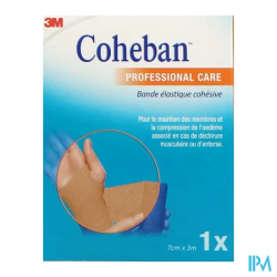 COHEBAN BDE 7CMX3M CHAIR 1583