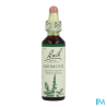 FL BACH ORIGINAL AGRIMONY 20ML