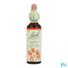 FL BACH ORIGINAL ASPEN 20ML