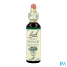 FL BACH ORIGINAL CENTAURY 20ML