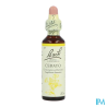 FL BACH ORIGINAL CERATO 20ML