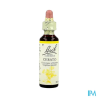 FL BACH ORIGINAL CERATO 20ML