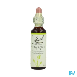 FL BACH ORIGINAL CHESNUT BUD 20ML