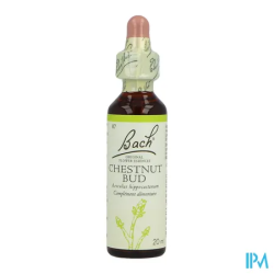 FL BACH ORIGINAL CHESNUT BUD 20ML