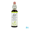FL BACH ORIGINAL CHESNUT BUD 20ML