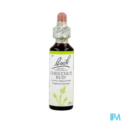 FL BACH ORIGINAL CHESNUT BUD 20ML