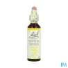 FL BACH ORIGINAL GENTIAN 20ML