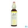 FL BACH ORIGINAL GENTIAN 20ML