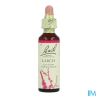 FL BACH ORIGINAL LARCH 20ML